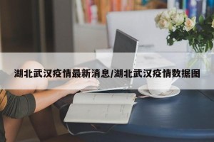 湖北武汉疫情最新消息/湖北武汉疫情数据图
